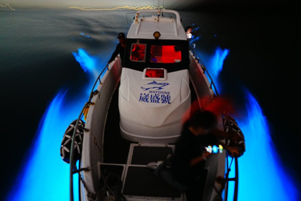 2025北竿夜航藍眼淚-夜賞藍眼淚 5 S 3440654