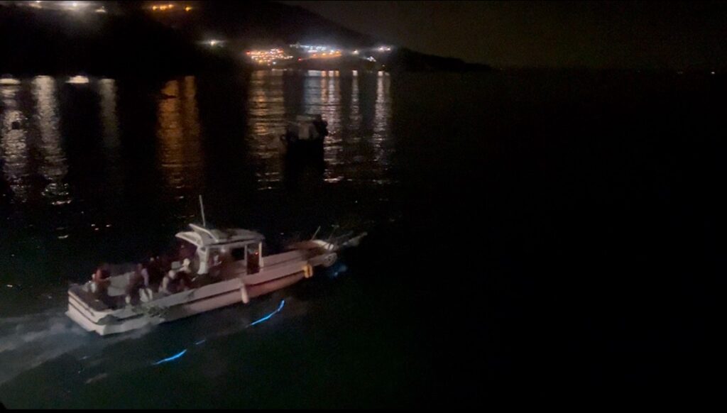 2025北竿夜航藍眼淚-夜賞藍眼淚 3 S 7856147 0 1