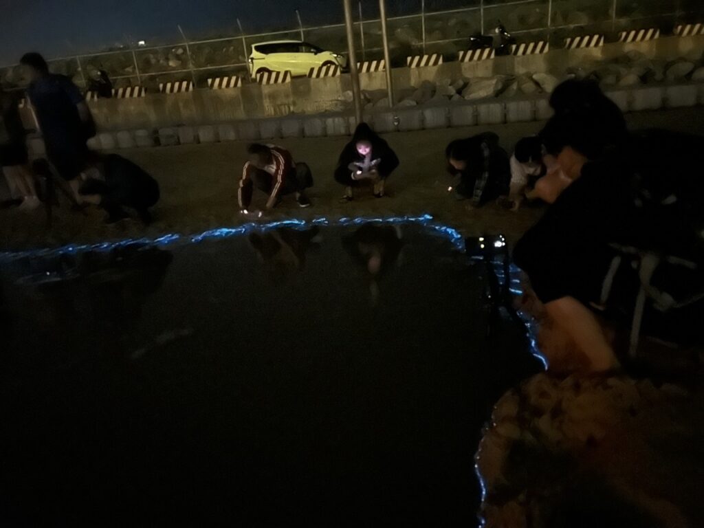 2025北竿夜航藍眼淚-夜賞藍眼淚 8 S 7856153 0