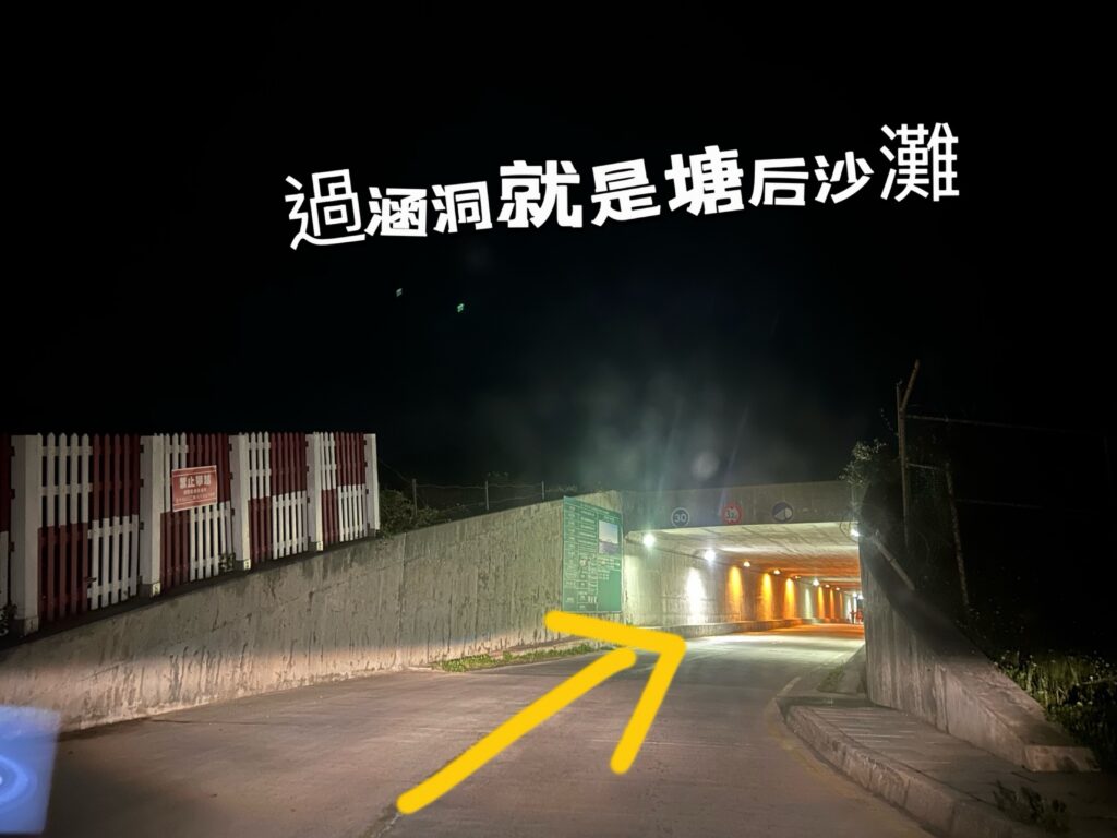 2025北竿夜航藍眼淚-夜賞藍眼淚 14 S 7962645 1