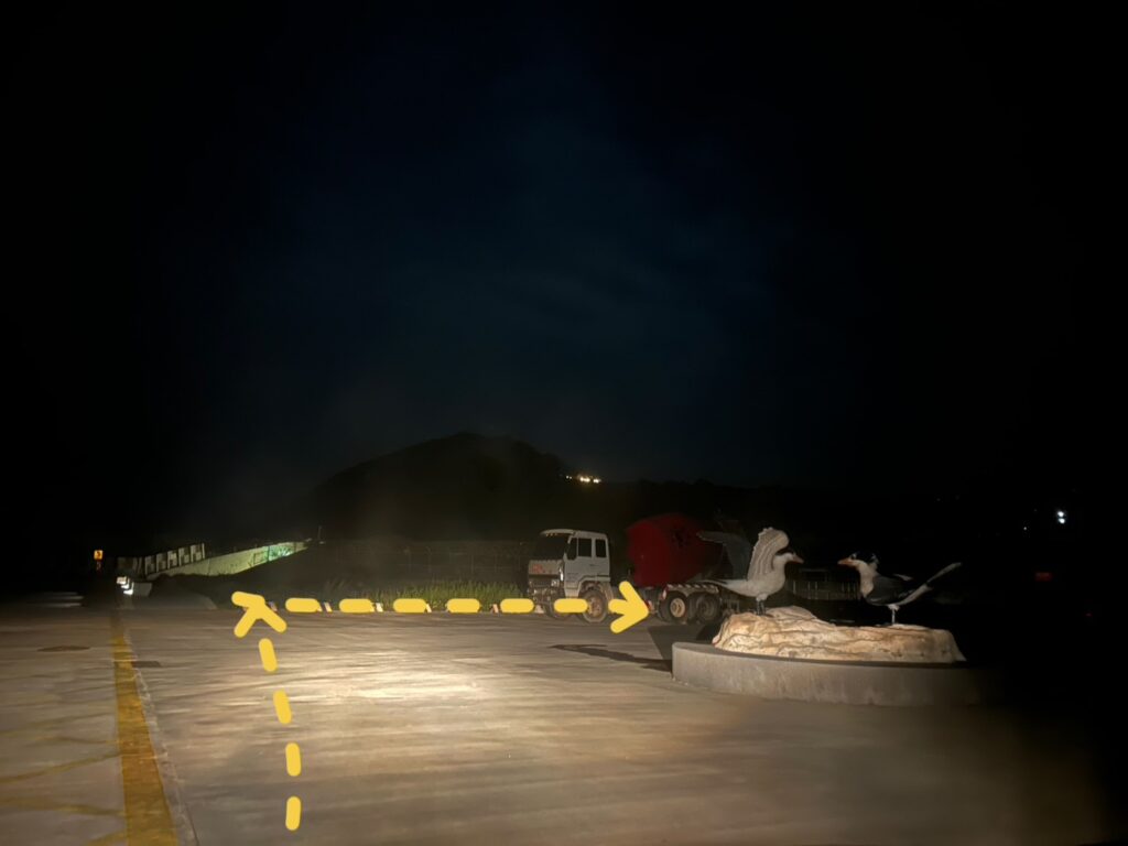 2025北竿夜航藍眼淚-夜賞藍眼淚 13 S 7962646